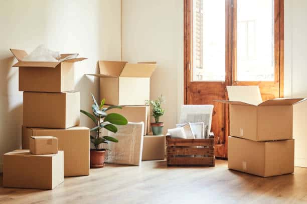 Professional household packing